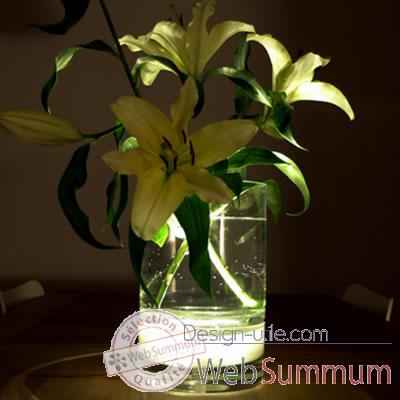 Vase inttrieur avec lumire fleur lampe 29 cm Verre