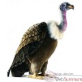 Video Anima - Peluche vautour 76 cm -3156